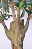 Olive H 2m: Large Artificial Mediterranean Olive Tree with Aged Trunk Texture