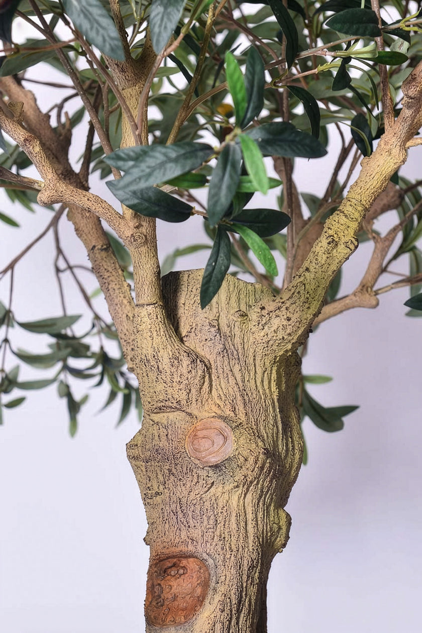 Olive H 2m: Large Artificial Mediterranean Olive Tree with Aged Trunk Texture