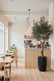 Olive H 2.5m: Large Artificial Mediterranean Olive Tree with Aged Trunk Texture