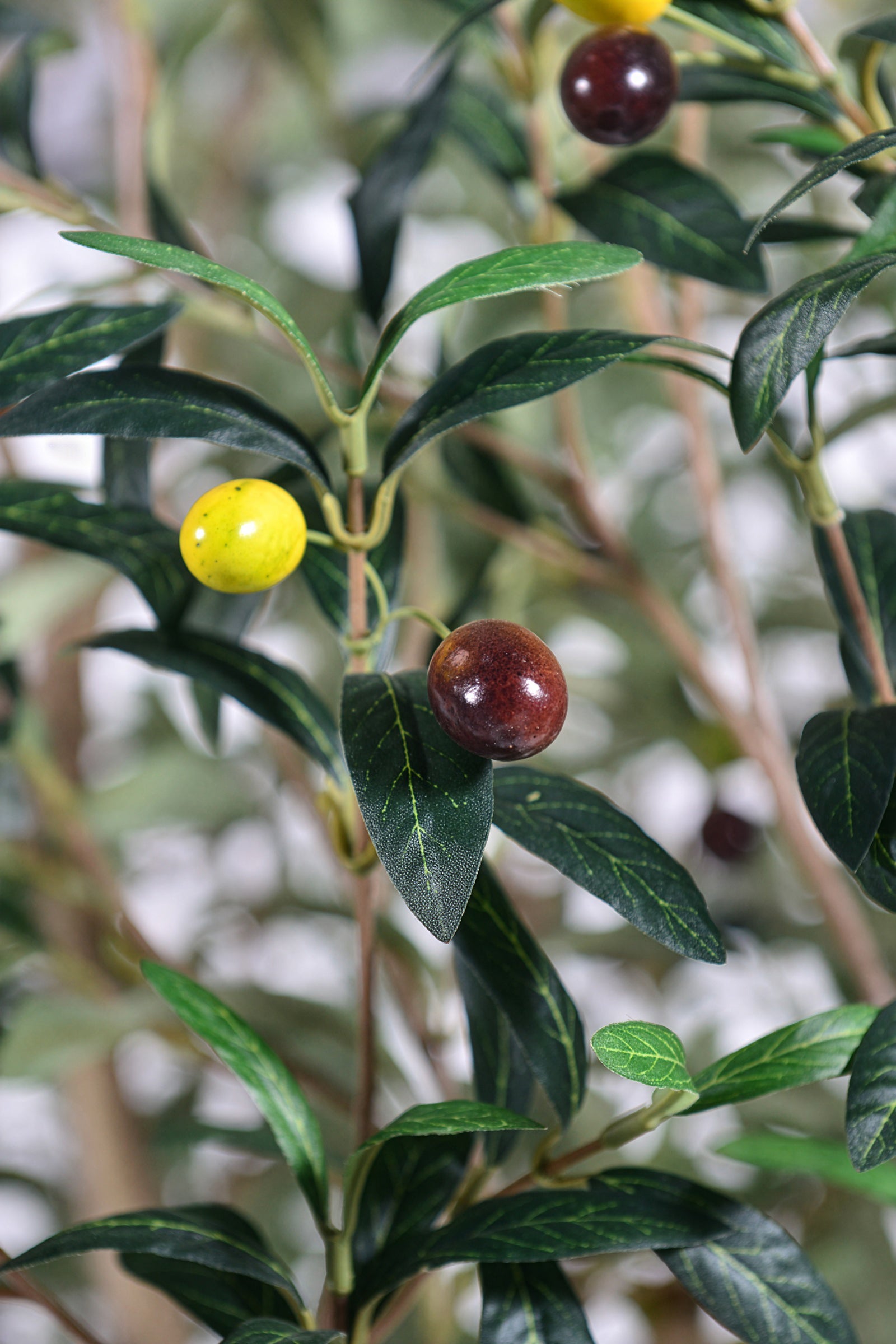 Olive H 2.5m: Large Artificial Mediterranean Olive Tree with Aged Trunk Texture