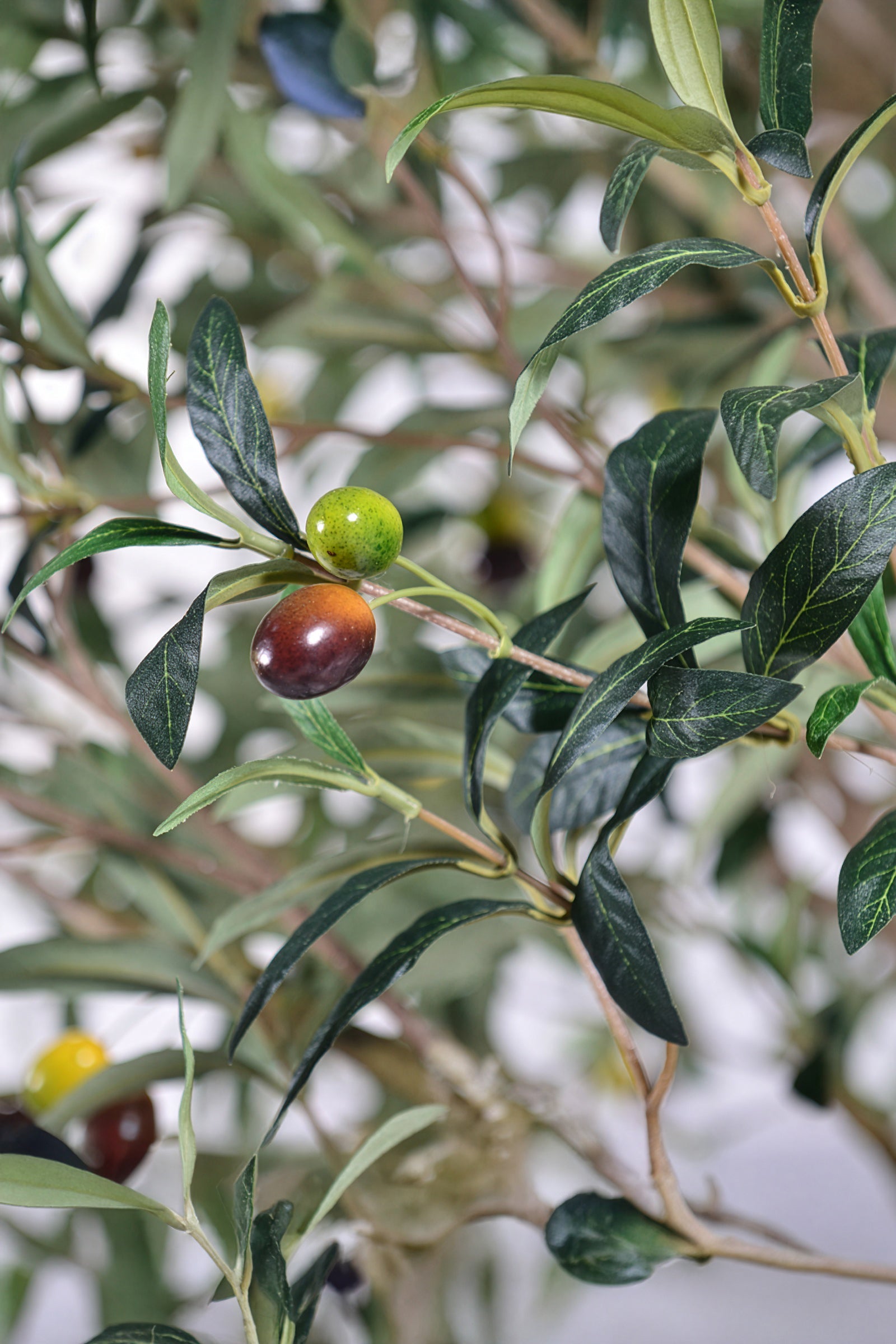 Olive H 2.5m: Large Artificial Mediterranean Olive Tree with Aged Trunk Texture