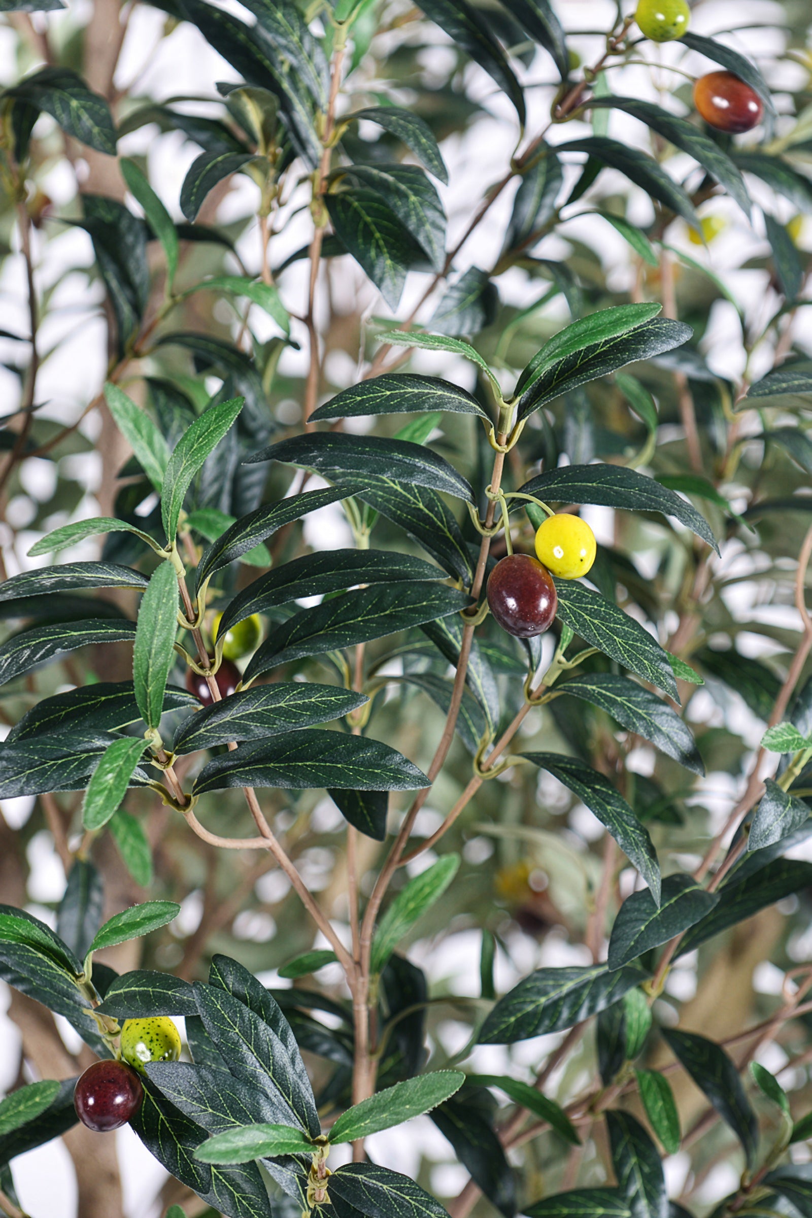 Olive H 2.5m: Large Artificial Mediterranean Olive Tree with Aged Trunk Texture