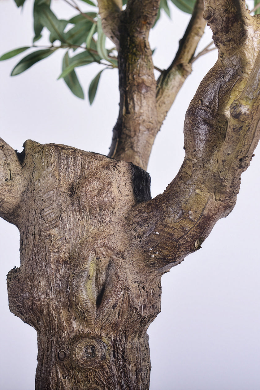 Olive H 2.5m: Large Artificial Mediterranean Olive Tree with Aged Trunk Texture