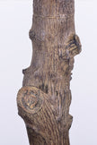 Olive H 2.5m: Large Artificial Mediterranean Olive Tree with Aged Trunk Texture