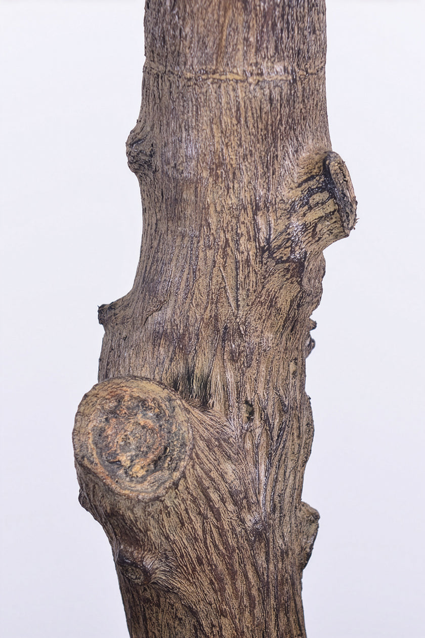 Olive H 2.5m: Large Artificial Mediterranean Olive Tree with Aged Trunk Texture