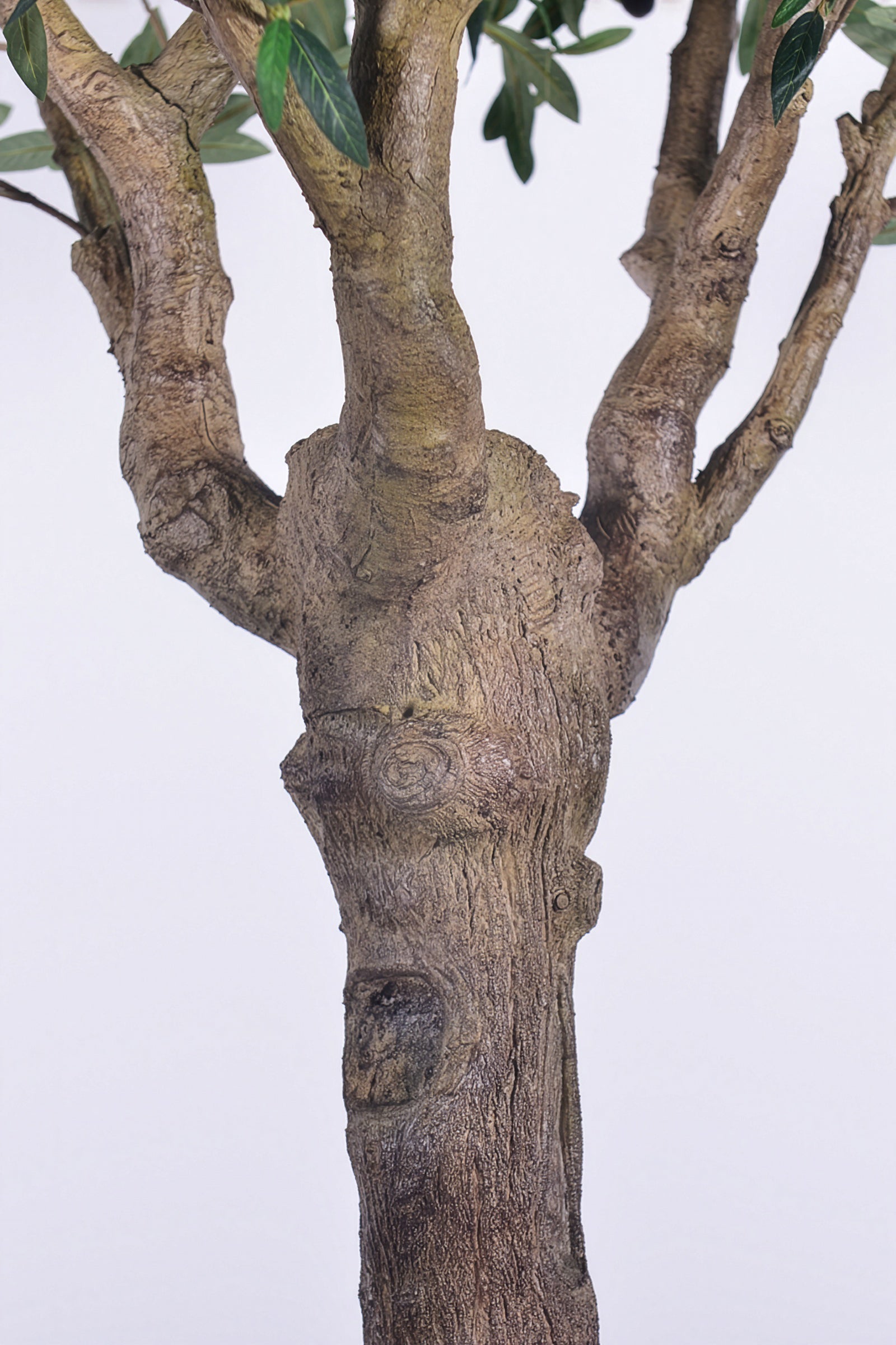 Olive H 2.5m: Large Artificial Mediterranean Olive Tree with Aged Trunk Texture