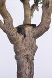 Olive H 2.5m: Large Artificial Mediterranean Olive Tree with Aged Trunk Texture