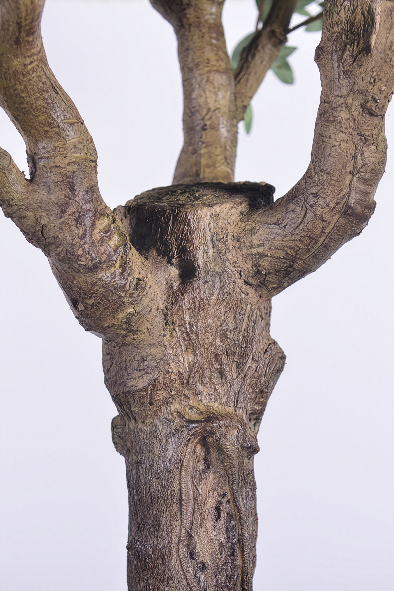 Olive H 2.5m: Large Artificial Mediterranean Olive Tree with Aged Trunk Texture