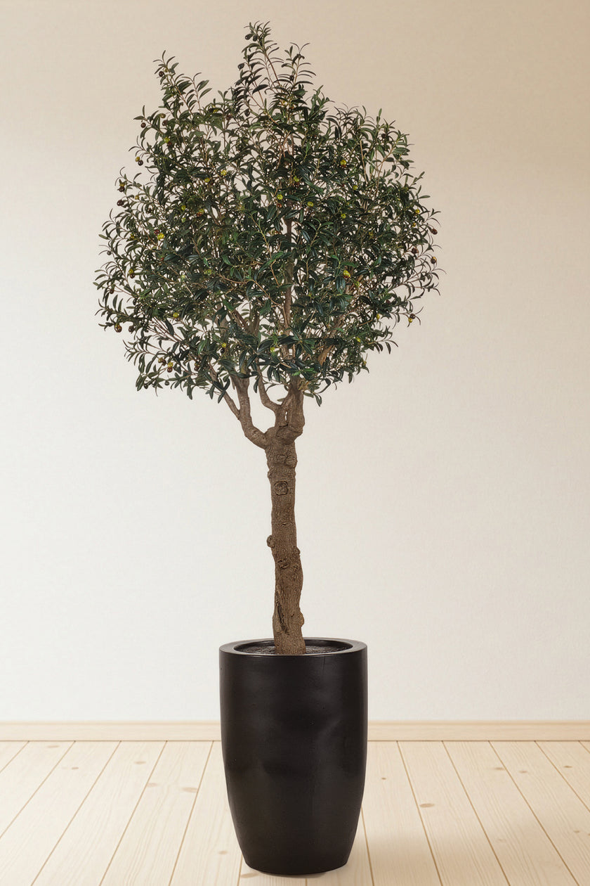 Olive H 2.5m: Large Artificial Mediterranean Olive Tree with Aged Trunk Texture