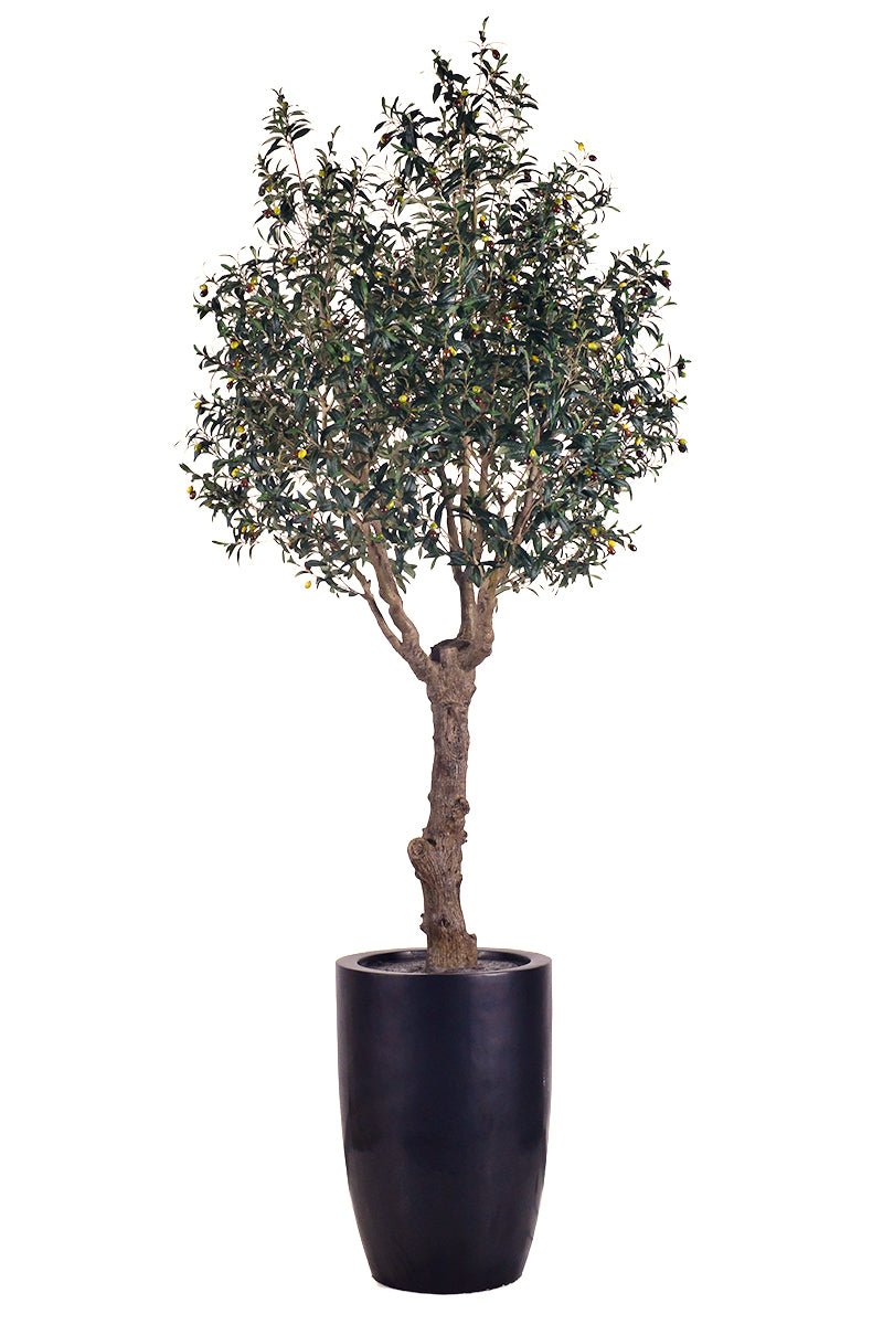 Olive H 2.5m: Large Artificial Mediterranean Olive Tree with Aged Trunk Texture