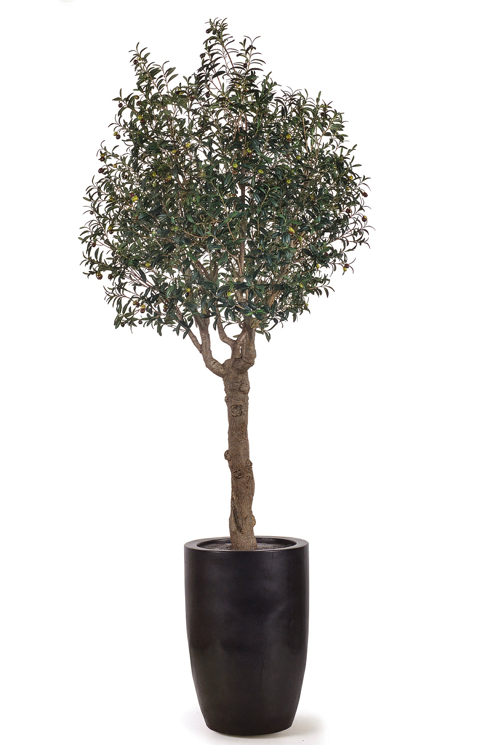 Olive H 2.5m: Large Artificial Mediterranean Olive Tree with Aged Trunk Texture