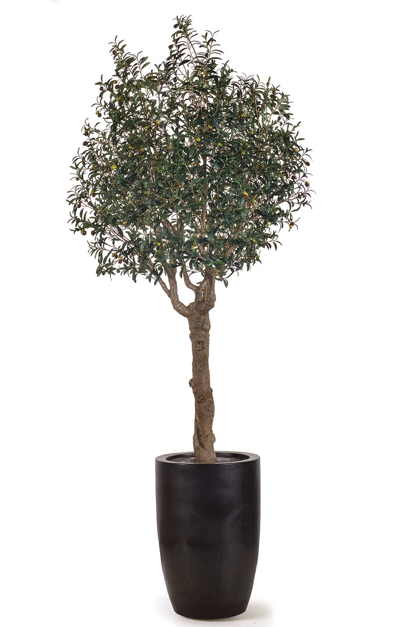 Olive H 2.5m: Large Artificial Mediterranean Olive Tree with Aged Trunk Texture