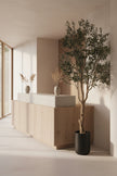 Olive H 2.8m: Large Artificial Mediterranean Olive Tree with Aged Trunk Texture