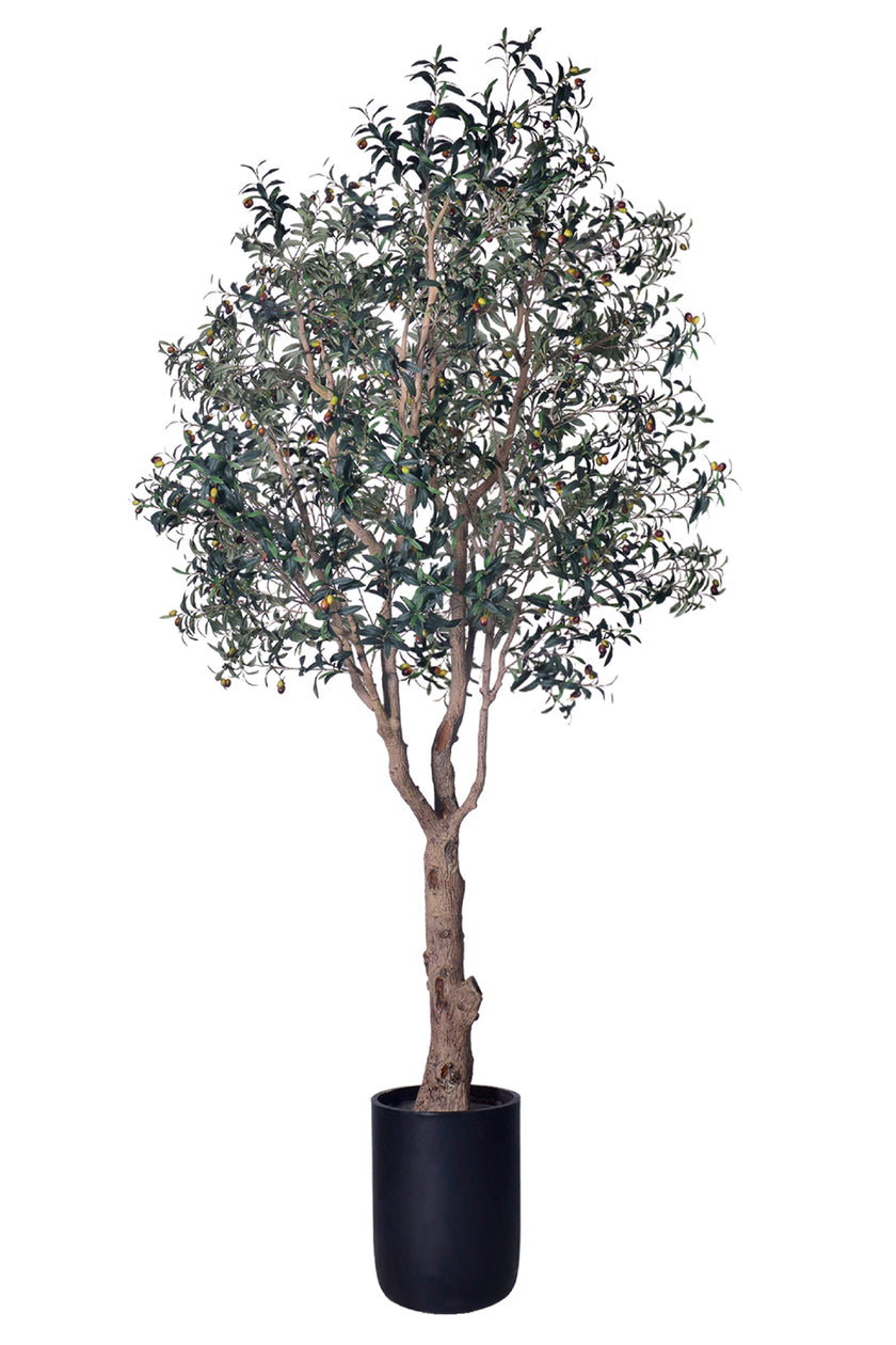 Olive H 2.8m: Large Artificial Mediterranean Olive Tree with Aged Trunk Texture