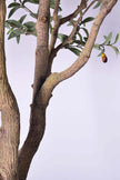 Olive H 2.8m: Large Artificial Mediterranean Olive Tree with Aged Trunk Texture