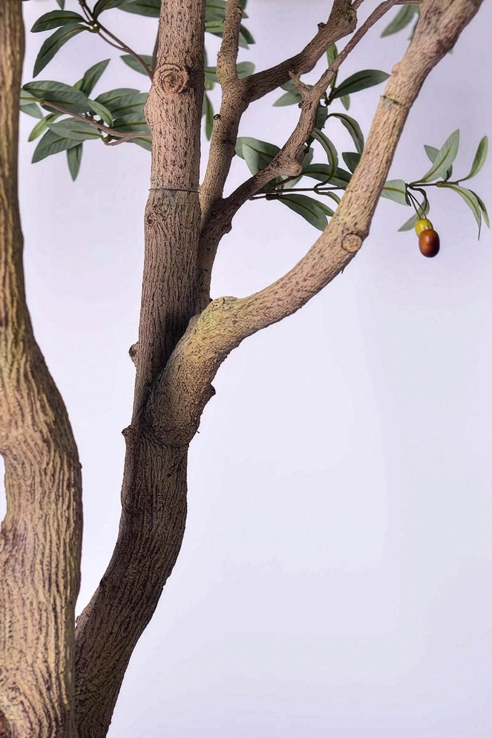 Olive H 2.8m: Large Artificial Mediterranean Olive Tree with Aged Trunk Texture