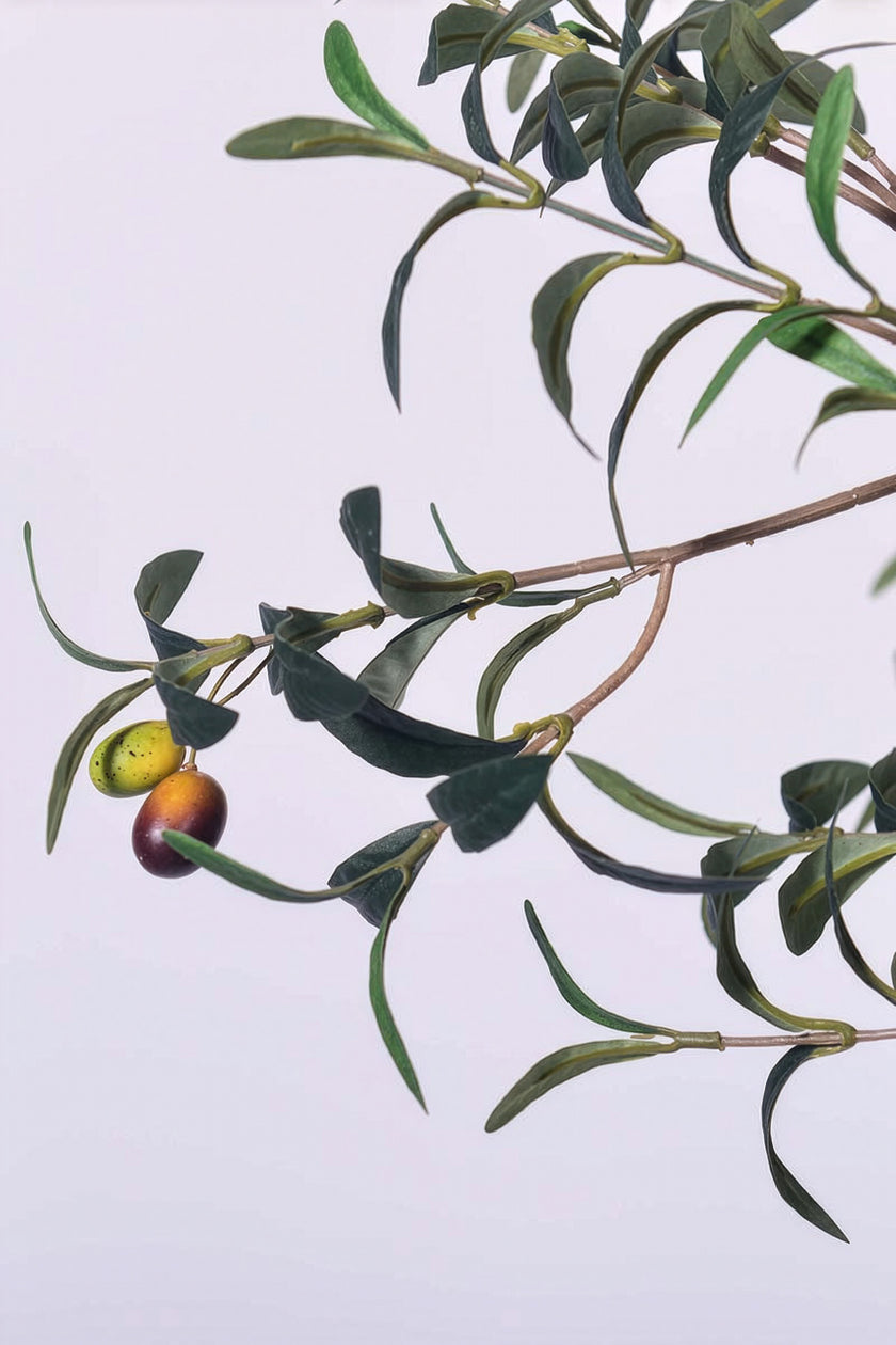 Olive H 2.8m: Large Artificial Mediterranean Olive Tree with Aged Trunk Texture