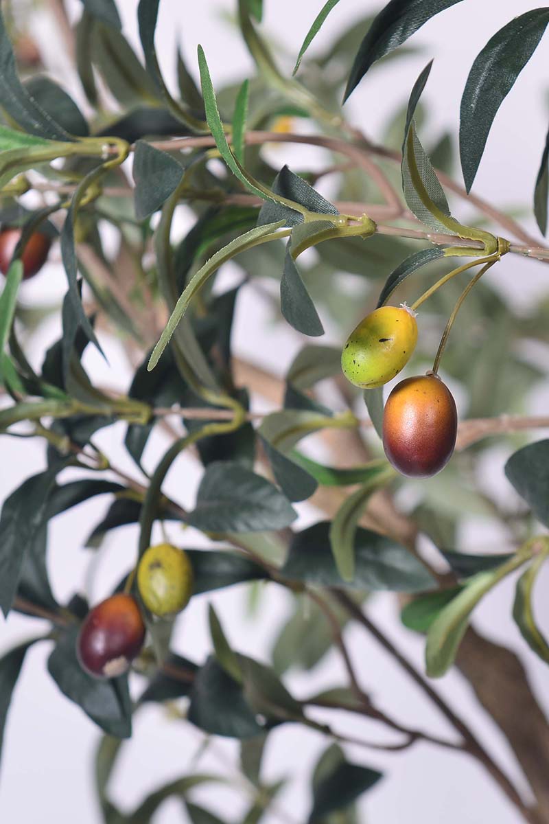 Olive H 2.8m: Large Artificial Mediterranean Olive Tree with Aged Trunk Texture