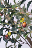 Olive H 2.8m: Large Artificial Mediterranean Olive Tree with Aged Trunk Texture