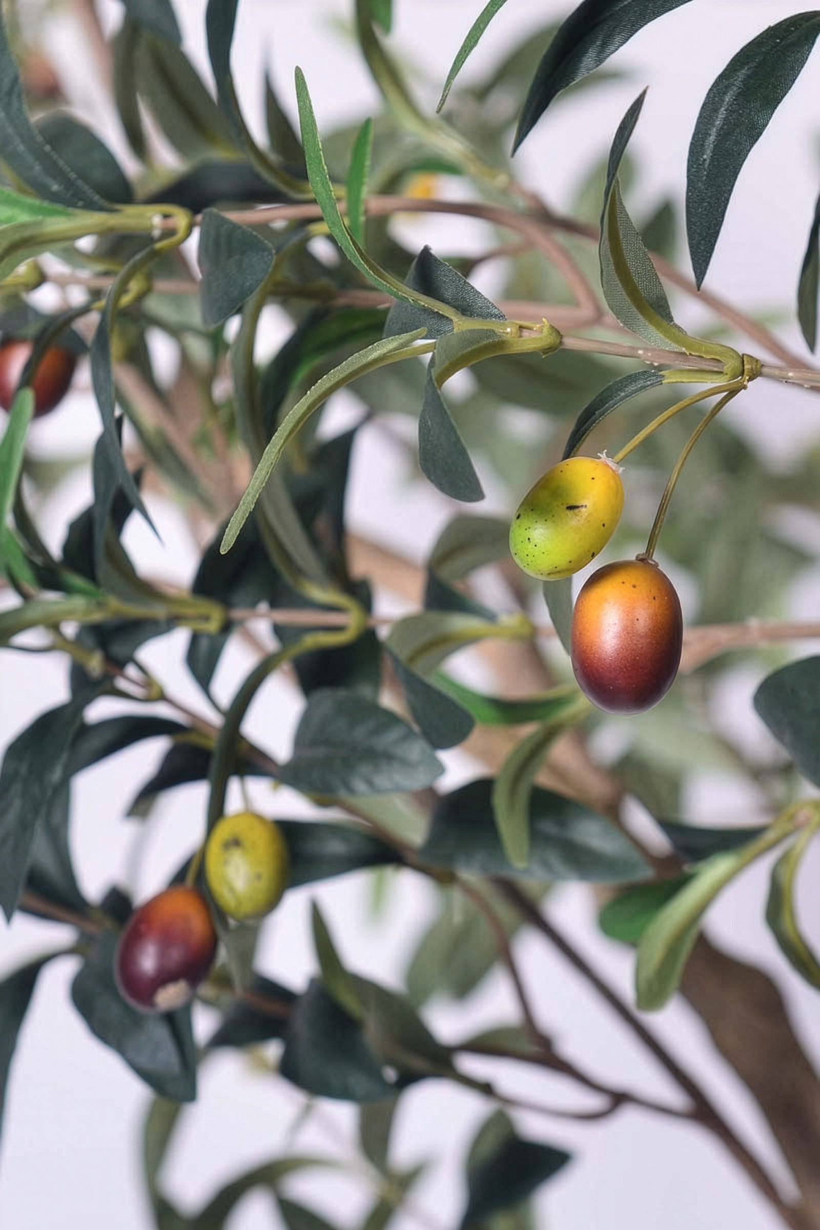 Olive H 2.8m: Large Artificial Mediterranean Olive Tree with Aged Trunk Texture