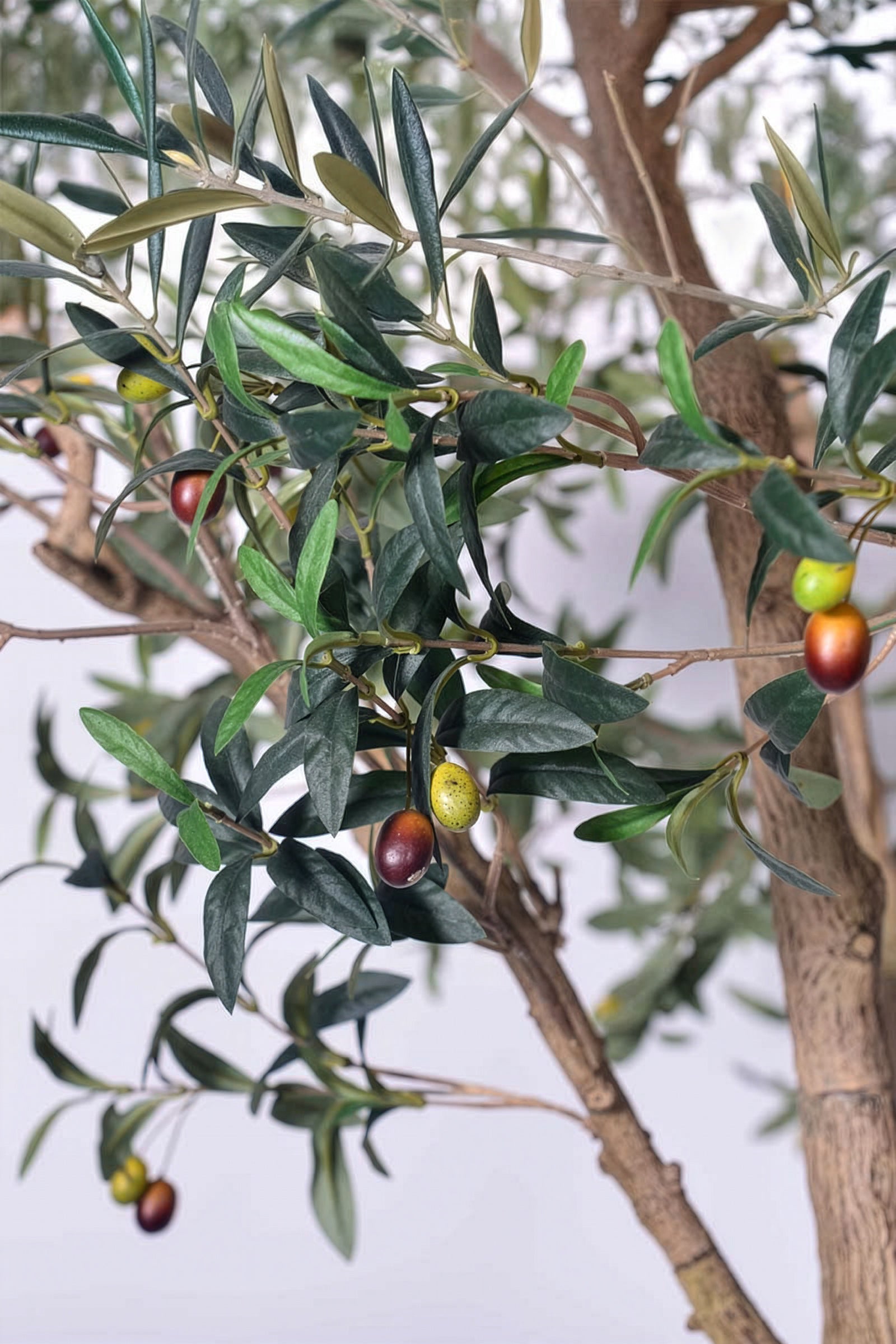 Olive H 2.8m: Large Artificial Mediterranean Olive Tree with Aged Trunk Texture