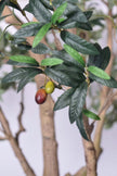 Olive H 2.8m: Large Artificial Mediterranean Olive Tree with Aged Trunk Texture