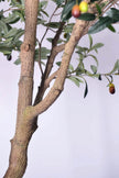 Olive H 2.8m: Large Artificial Mediterranean Olive Tree with Aged Trunk Texture