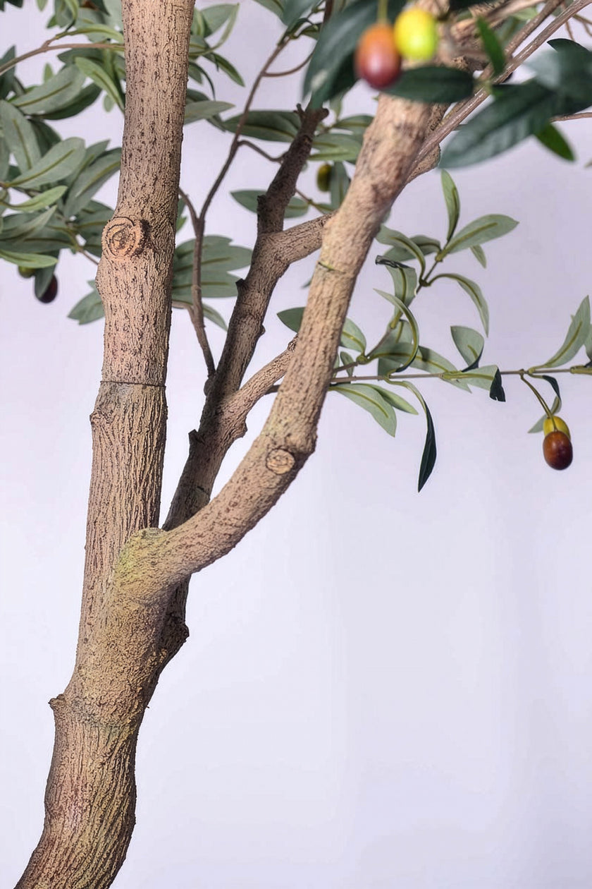 Olive H 2.8m: Large Artificial Mediterranean Olive Tree with Aged Trunk Texture