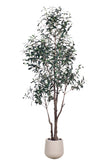 Olive I: Artificial Gaeta Olive Tree with Dual-Trunk Structure in A White Pot