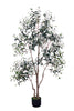 Olive I: Artificial Gaeta Olive Tree with Dual-Trunk Structure