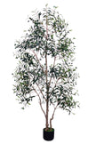 Olive I: Artificial Gaeta Olive Tree with Dual-Trunk Structure