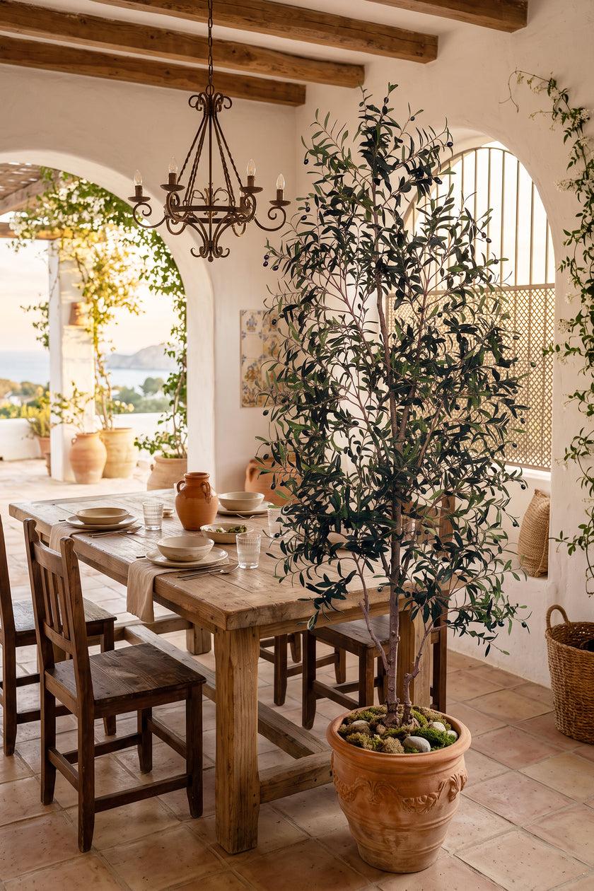 Olive I: Artificial Gaeta Olive Tree with Dual-Trunk Structure