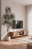 Olive I: Artificial Gaeta Olive Tree with Dual-Trunk Structure