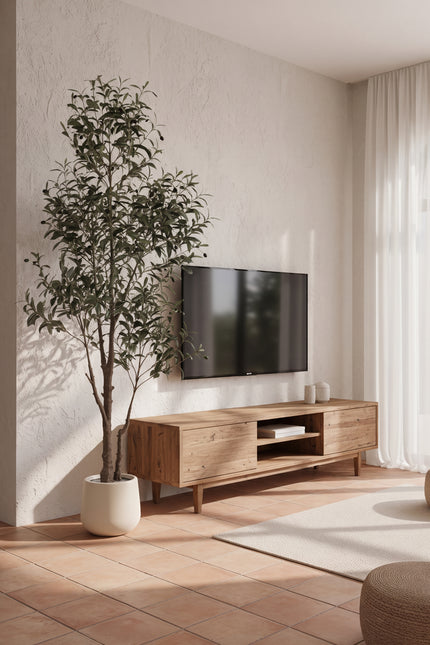 Olive I: Artificial Gaeta Olive Tree with Dual-Trunk Structure