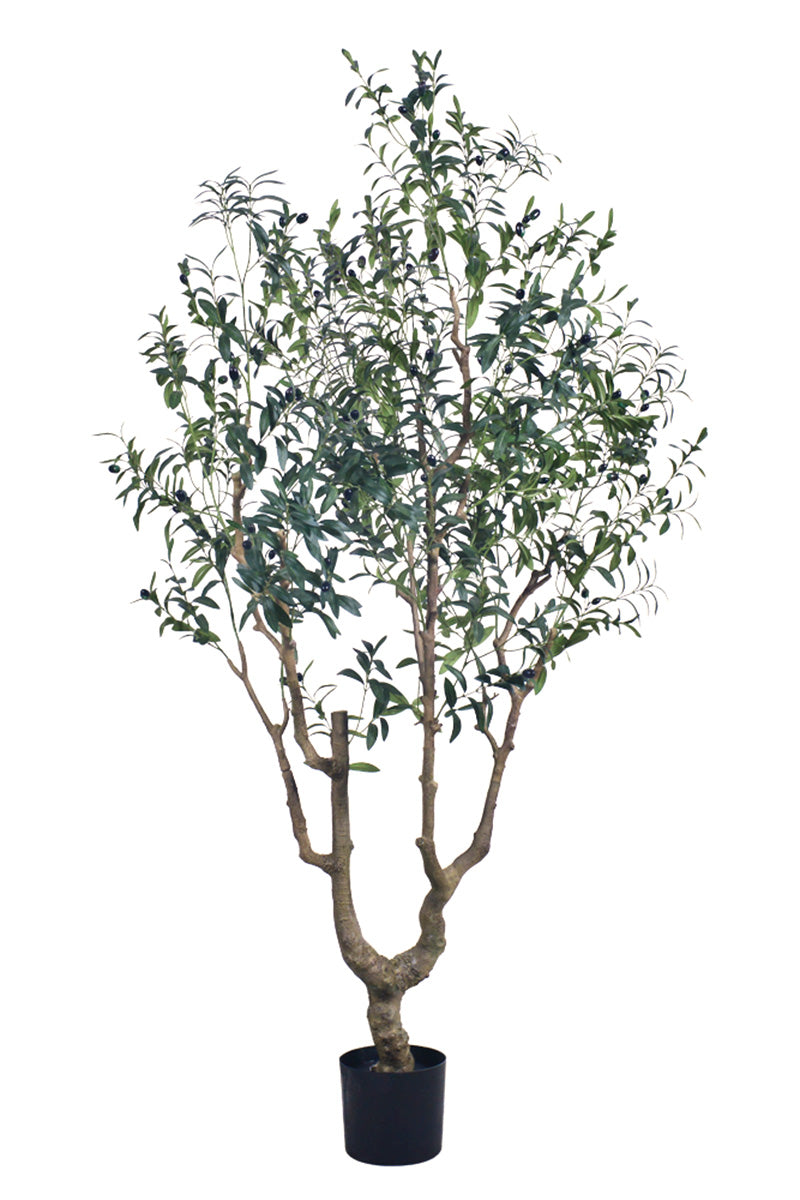 Olive K: Large Artificial Olive Tree with Four-Branch Structure and Textured Bark