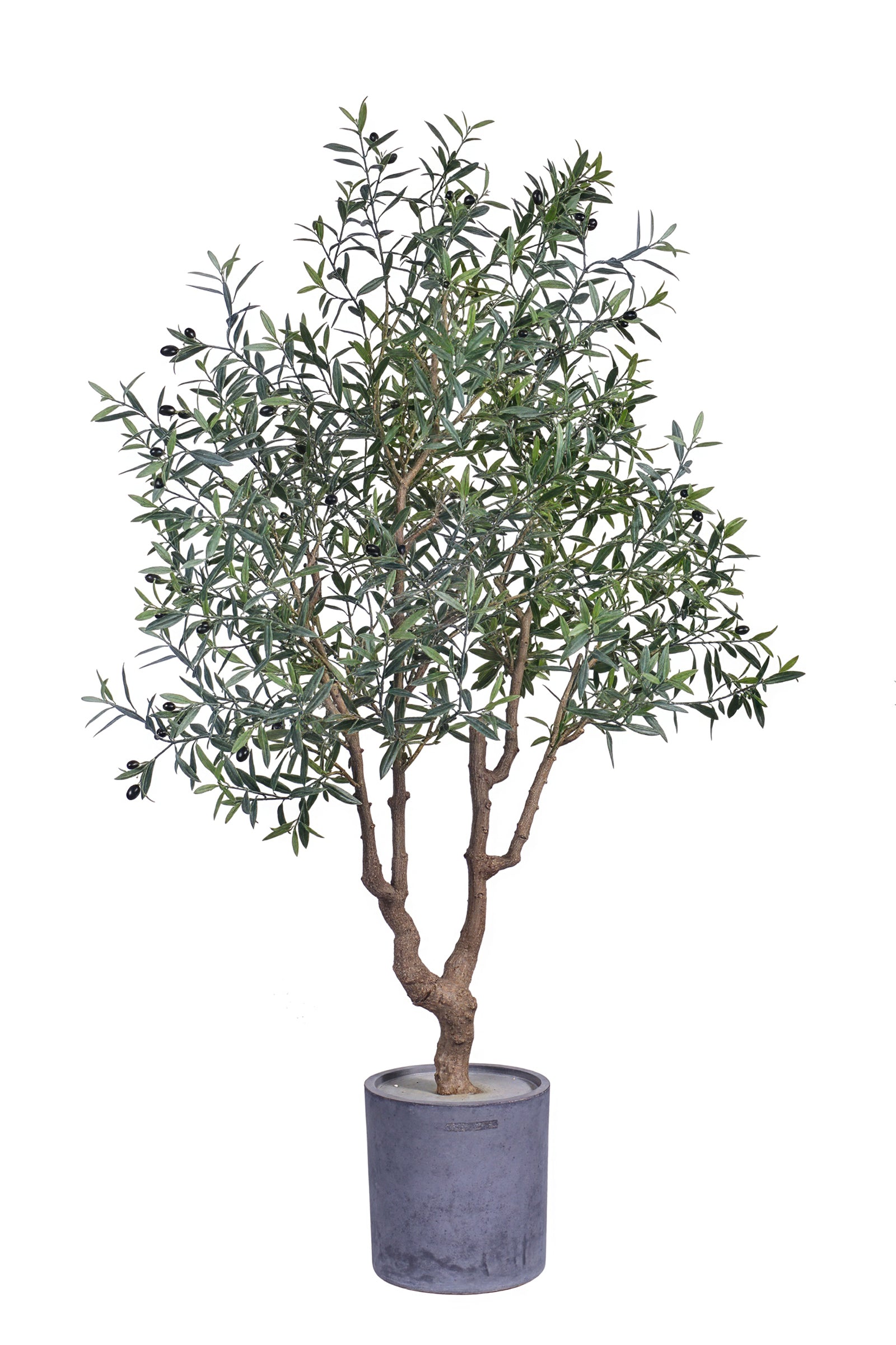 Olive K: Large Artificial Olive Tree with Four-Branch Structure and Textured Bark