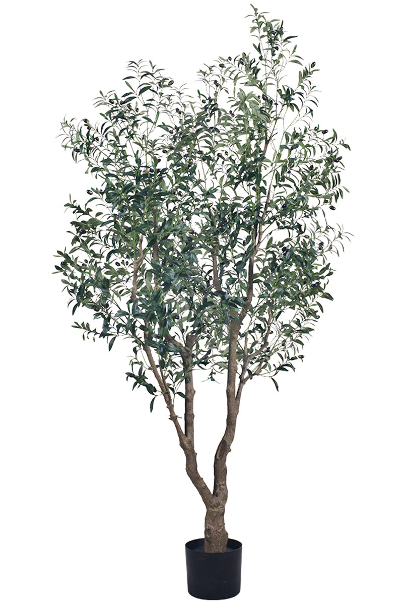 Olive K: Large Artificial Olive Tree with Four-Branch Structure and Textured Bark