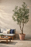 Olive K: Large Artificial Olive Tree with Four-Branch Structure and Textured Bark