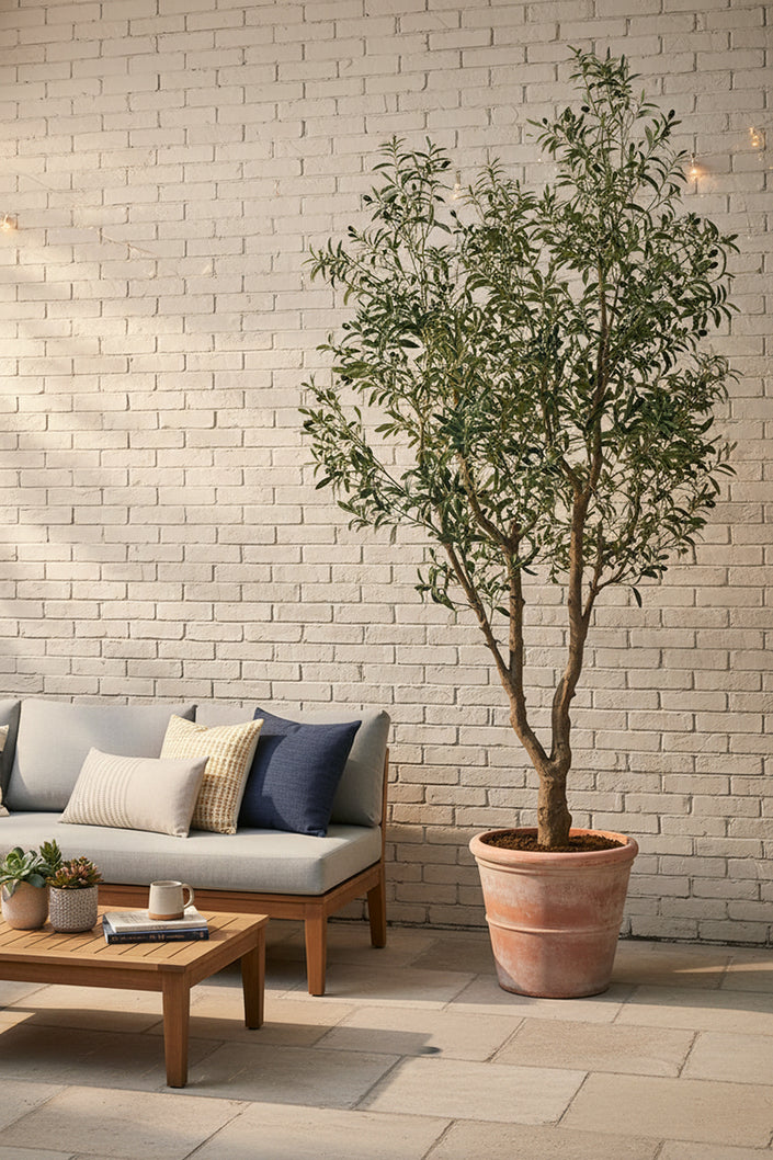 Olive K: Large Artificial Olive Tree with Four-Branch Structure and Textured Bark
