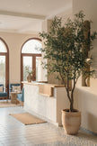 Olive K: Large Artificial Olive Tree with Four-Branch Structure and Textured Bark