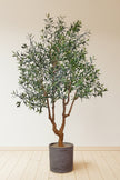 Olive K: Large Artificial Olive Tree with Four-Branch Structure and Textured Bark