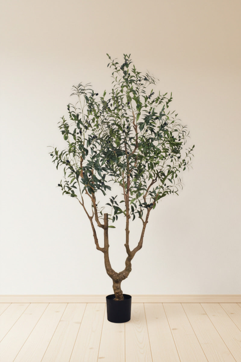 Olive K: Large Artificial Olive Tree with Four-Branch Structure and Textured Bark