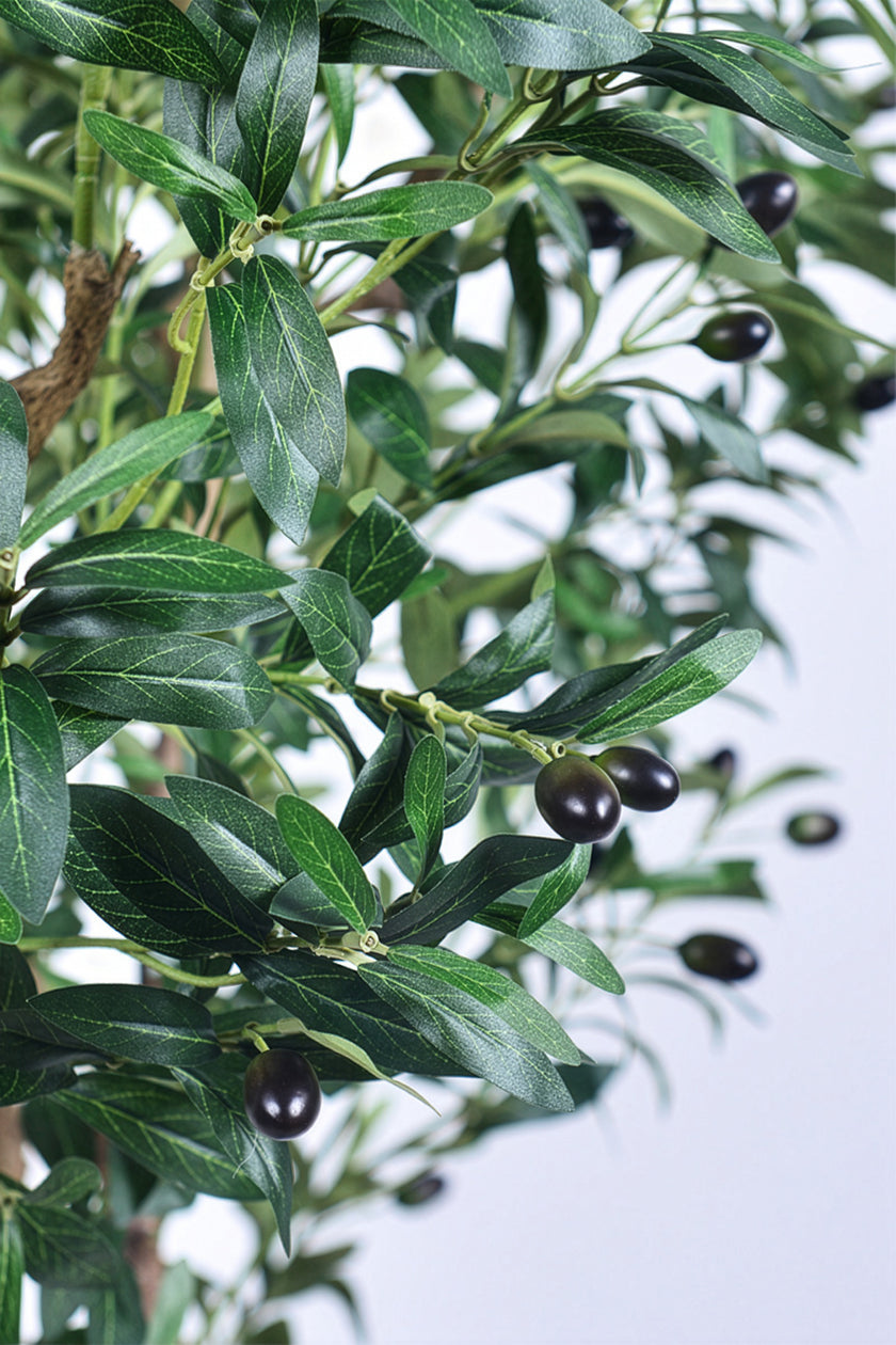 Olive K: Large Artificial Olive Tree with Four-Branch Structure and Textured Bark