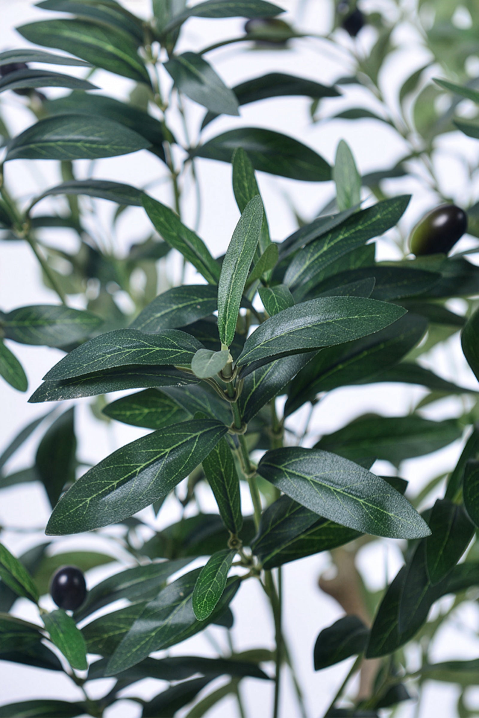 Olive K: Large Artificial Olive Tree with Four-Branch Structure and Textured Bark