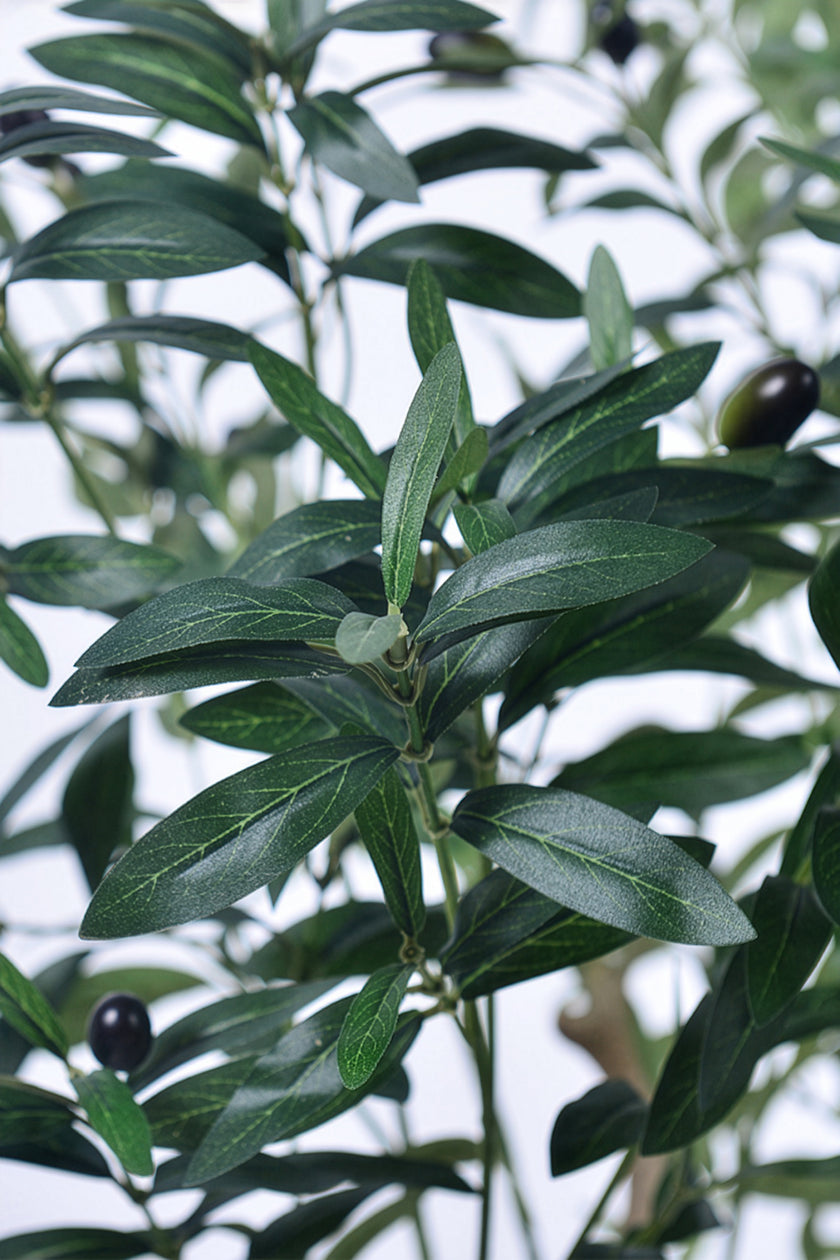 Olive K: Large Artificial Olive Tree with Four-Branch Structure and Textured Bark