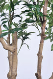 Olive K: Large Artificial Olive Tree with Four-Branch Structure and Textured Bark