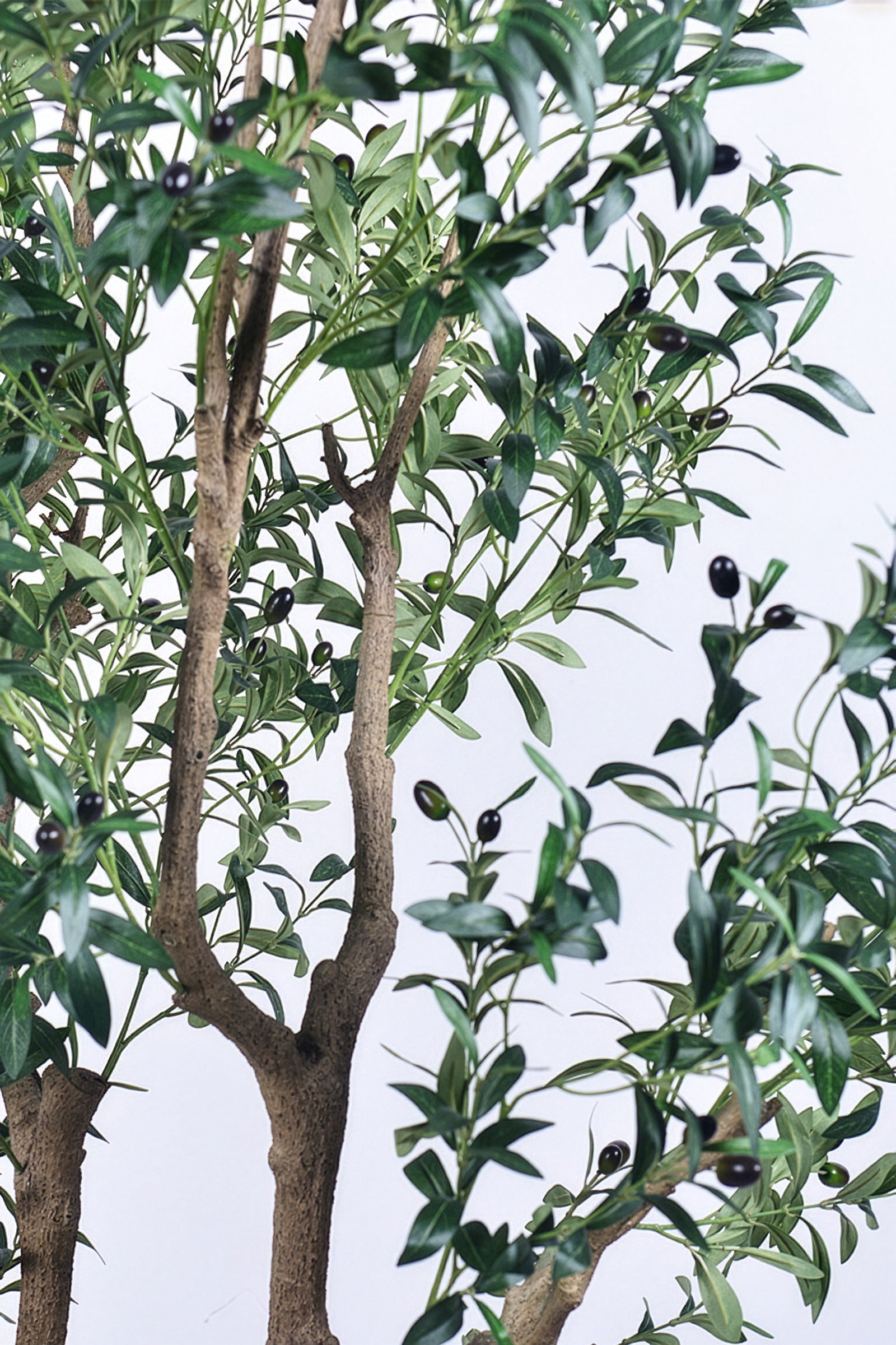 Olive K: Large Artificial Olive Tree with Four-Branch Structure and Textured Bark