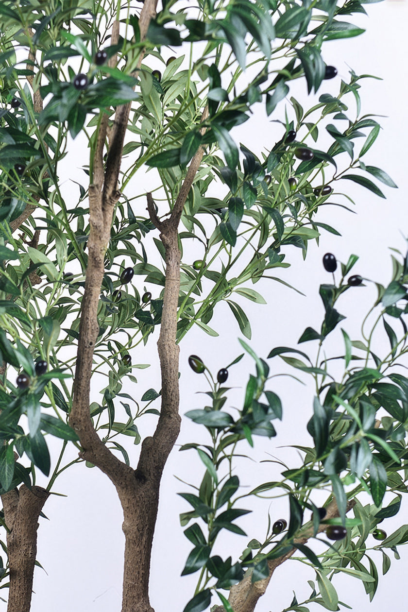 Olive K: Large Artificial Olive Tree with Four-Branch Structure and Textured Bark