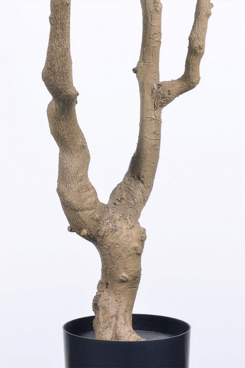 Olive K: Large Artificial Olive Tree with Four-Branch Structure and Textured Bark