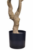 Olive K: Large Artificial Olive Tree with Four-Branch Structure and Textured Bark
